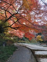 DSC_1445 DSC_1445-e1738740712163